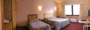 Golden Chain Ascot Motor Inn - Hobart Tourism 4