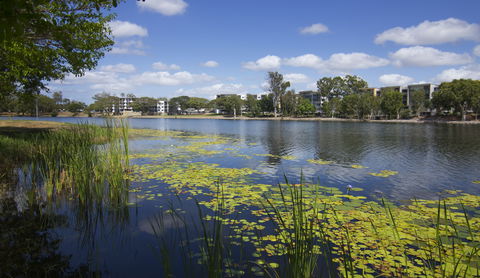 Itara & Jacana Apartments - Tourism TAS 2