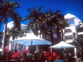 Alamanda Palm Cove - Tourism TAS 1
