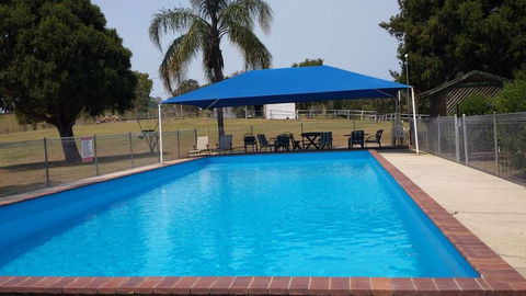 Jacaranda Motor Lodge - Tourism TAS 2