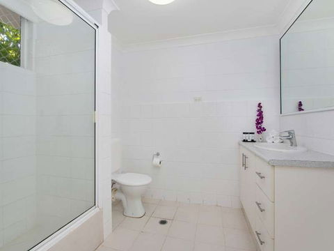 Cairns City Palms - Hobart Tourism 1