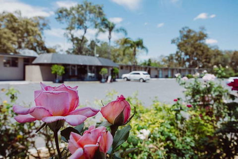 Artesian Spa Motor Inn - Hobart Tourism 2