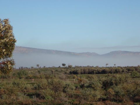 Windana Cottages - Tourism TAS 44
