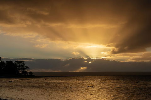 Mercure Kangaroo Island Lodge - Tourism TAS 16