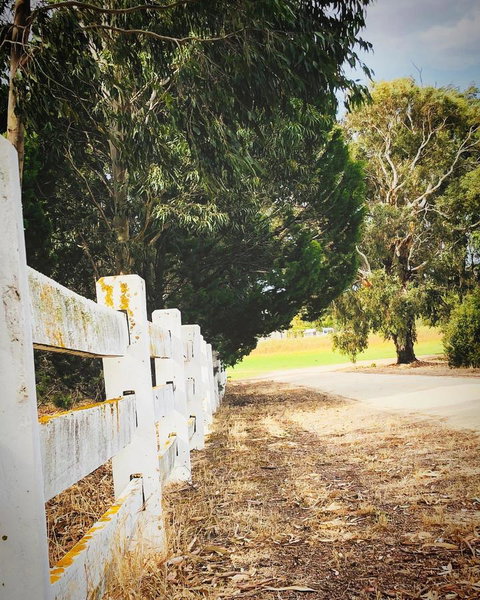 The Lake House Retreat - Tourism TAS 28