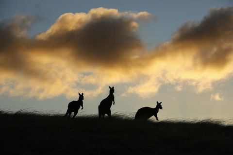 Sky House Kangaroo Island - Hobart Tourism 37