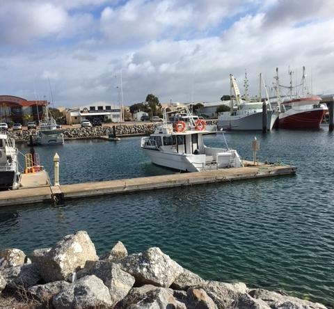 Port Lincoln Shark Apartment 1 - Tourism TAS 14