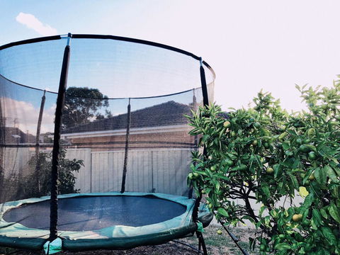 Beautiful Garden House - Hobart Tourism 23
