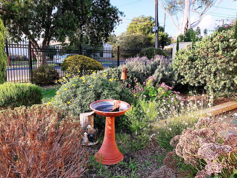 Beautiful Garden House - Hobart Tourism 21