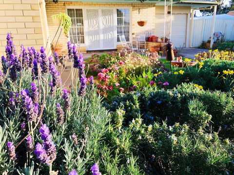 Beautiful Garden House - Hobart Tourism 9