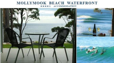 Mollymook Beach Waterfront - Tourism TAS 1