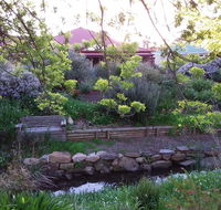 Frog Song at Willunga - Tourism TAS