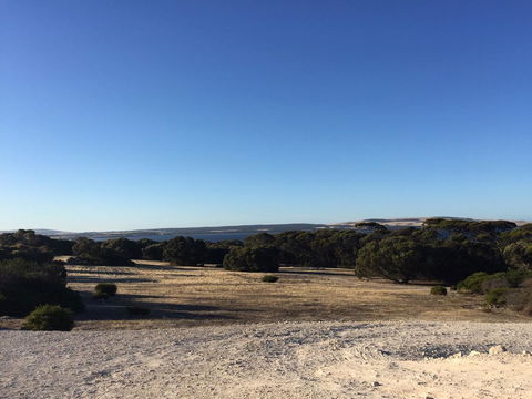 Wallaby Retreat - Hobart Tourism 1