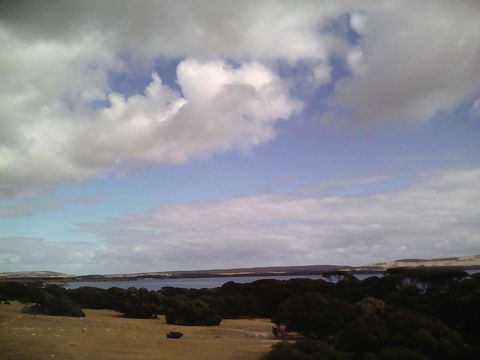 Wallaby Retreat - Hobart Tourism 2