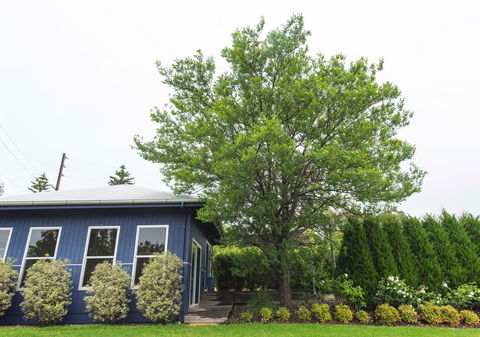 S T U D I O 22 Peaceful Retreat With Garden Views - Tourism TAS 11
