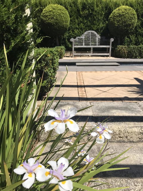 S T U D I O 22 Peaceful Retreat With Garden Views - Tourism TAS 13