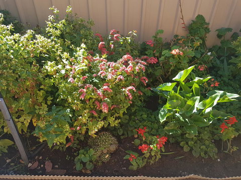 Tanunda\'s Magpie House - Hobart Tourism 24