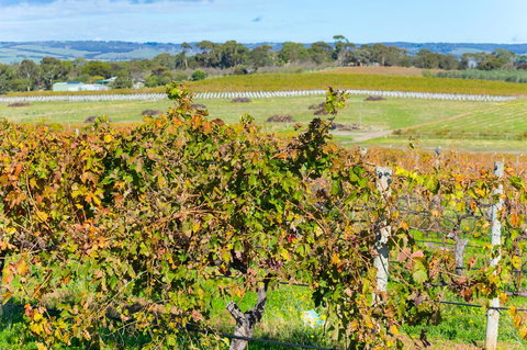 Sun & Surf Aldinga Beach Apartment - Hobart Tourism 15