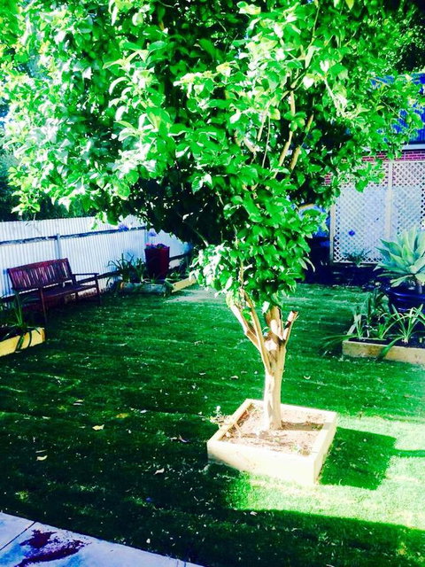 A Rose By The Park - Tourism TAS 11