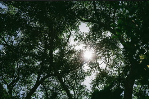 A Rose By The Park - Tourism TAS 13