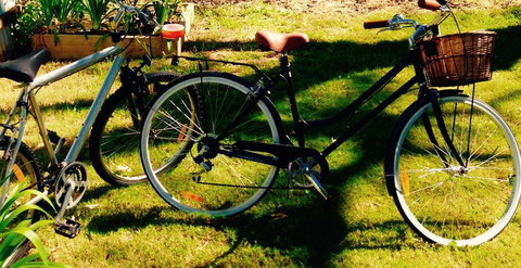 A Rose By The Park - Tourism TAS 14