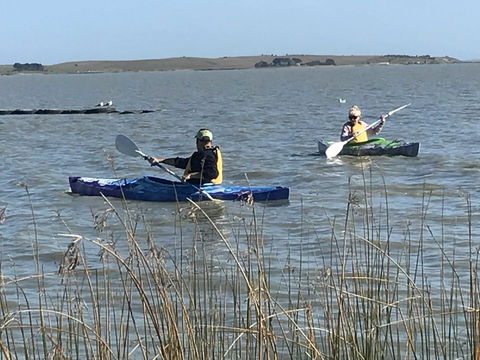 Hydeaway Bay - Own Private Bay + Kayaks - Tourism TAS 30