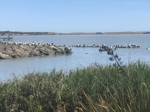 Hydeaway Bay - Own Private Bay + Kayaks - Tourism TAS 34