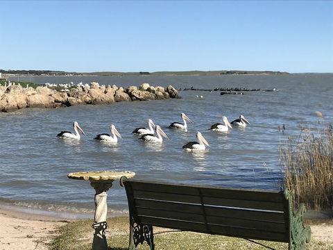 Hydeaway Bay - Own Private Bay + Kayaks - Tourism TAS 18