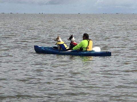 Hydeaway Bay - Own Private Bay + Kayaks - Tourism TAS 31