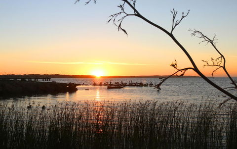 Hydeaway Bay - Own Private Bay + Kayaks - Tourism TAS 36