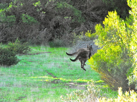 A Dune Escape - Tourism TAS 25