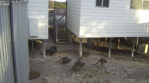 White Sands Holiday Retreat - Hobart Tourism 13