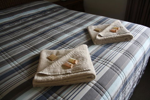 Isis Motel Scone - Hobart Tourism 3
