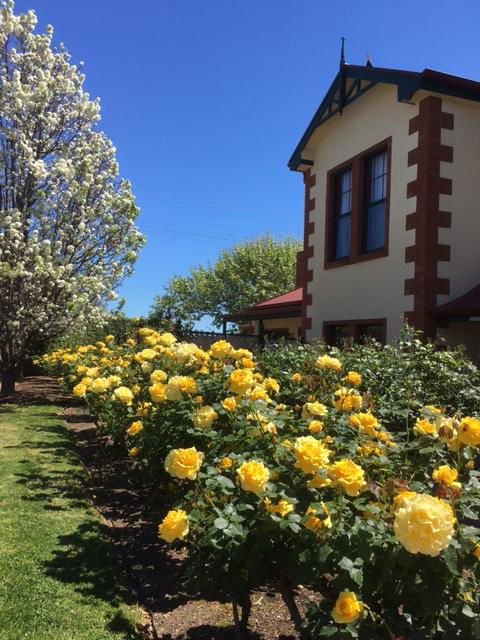 Wine And Roses Bed And Breakfast - Tourism TAS 5