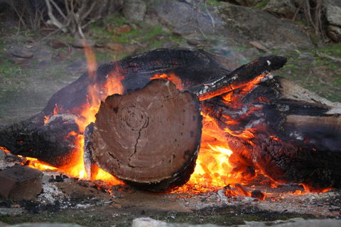 Rabbiters Hut - Tourism TAS 15