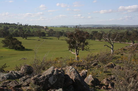 Rabbiters Hut - Tourism TAS 28