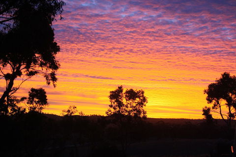 Rabbiters Hut - Tourism TAS 33
