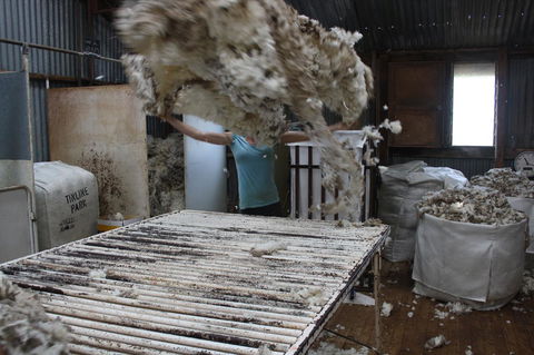 Rabbiters Hut - Tourism TAS 19