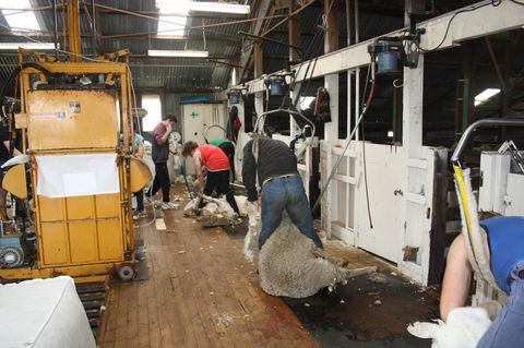 Rabbiters Hut - Tourism TAS 18