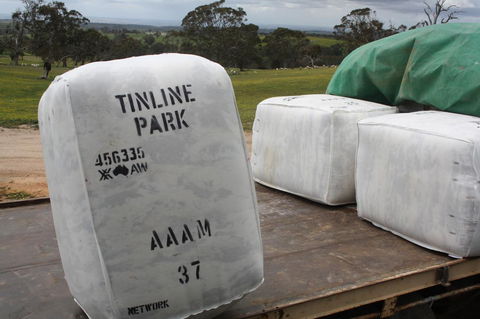 Rabbiters Hut - Tourism TAS 21