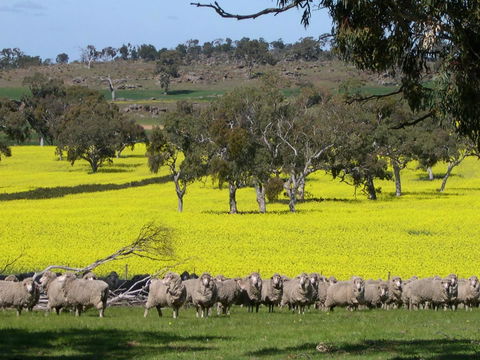 Rabbiters Hut - Tourism TAS 16