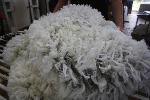 Rabbiters Hut - Tourism TAS 20