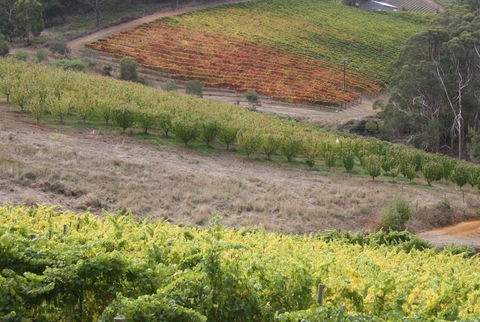 Rabbiters Hut - Tourism TAS 25