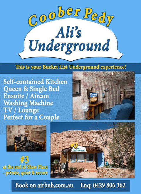 Ali\'s Underground Studio - Hobart Tourism 12