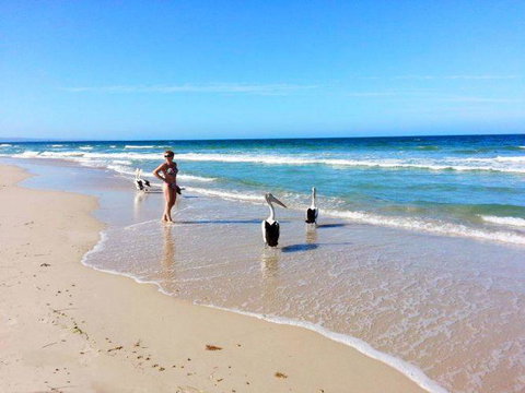 Atlantic West Beach Apartments - Tourism TAS 22