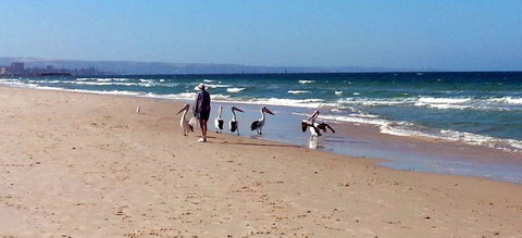 Atlantic West Beach Apartments - Tourism TAS 20