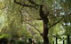 Hilltop - thumb 14