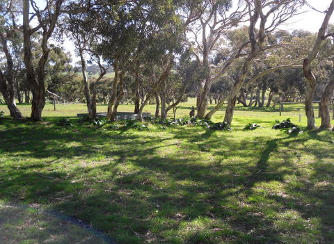 Wenton Farm Holiday Cottages - Hobart Tourism 1