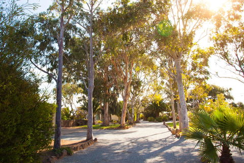 Modra\'s Apartments - Tourism TAS 0