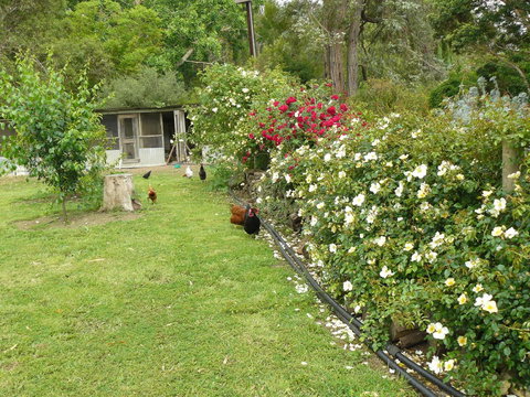 Camawald Coonawarra Cottage B&B - Tourism TAS 3